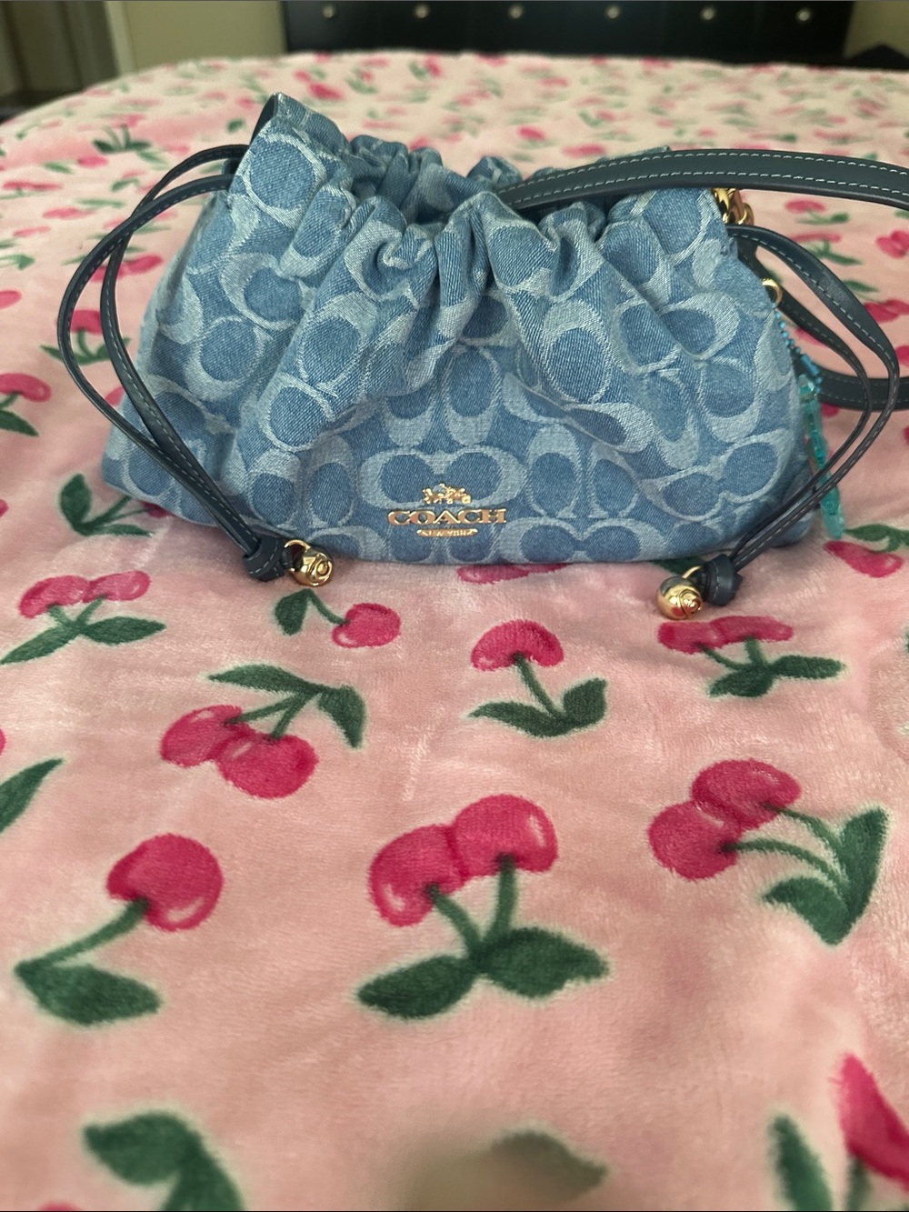 Coach Light Blue Denim Signature Ruched Shoulder Bag - Picture 11 of 11